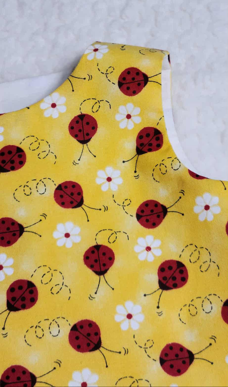 Little Lady Bug Dress