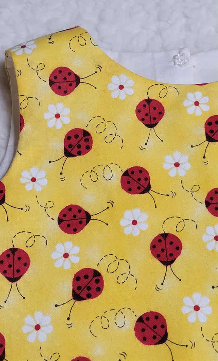 Little Lady Bug Dress