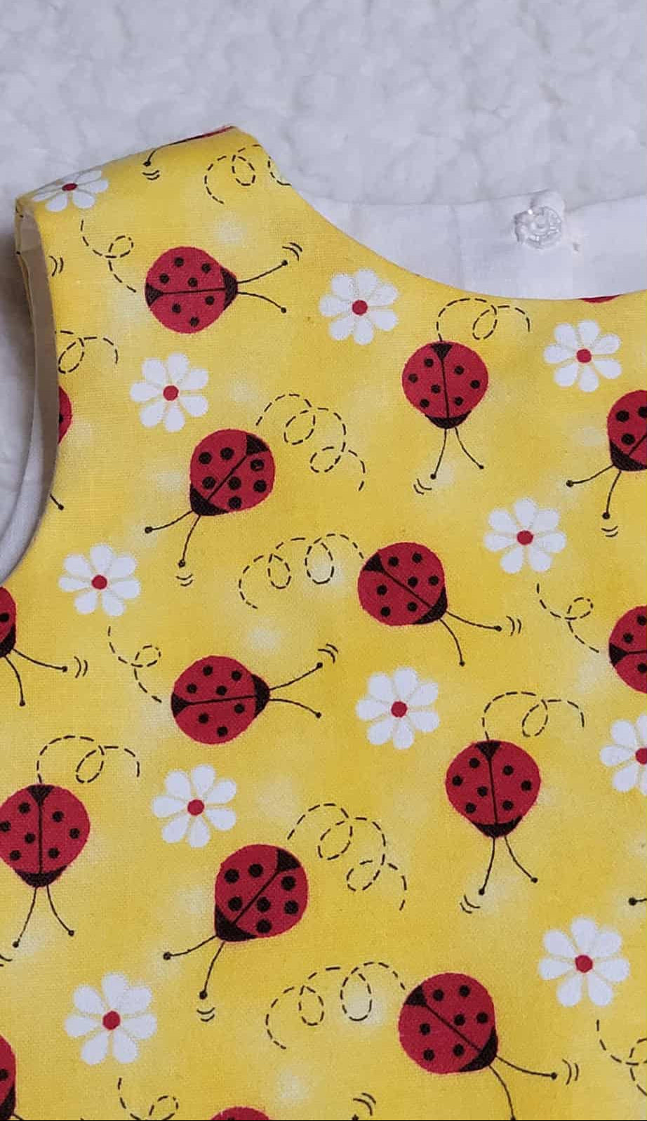 Little Lady Bug Dress