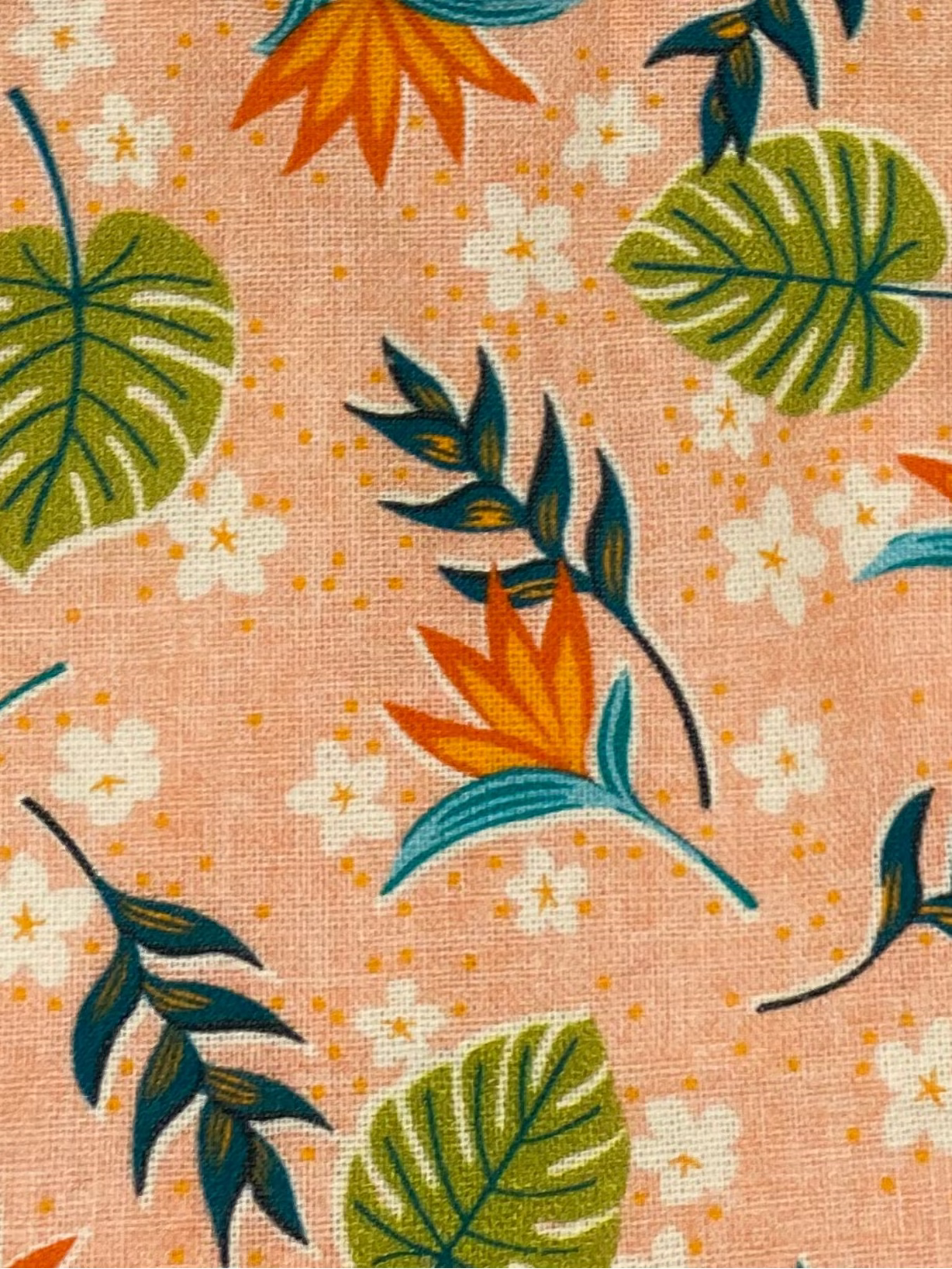 Betty Peach & Green Butterfly Sleeves Dress