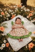 Newborn - Betty Peach & Green Butterfly Sleeves