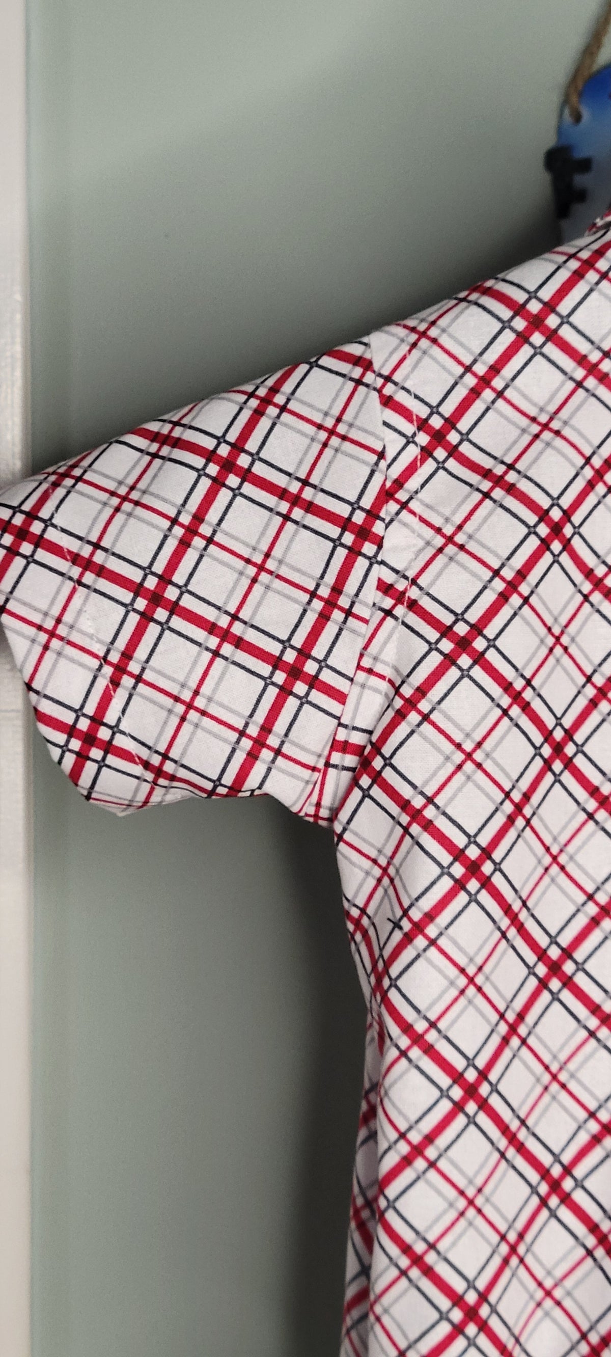 Luigi Style Shirt and Pants Set