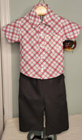 Luigi Style Shirt and Pants Set
